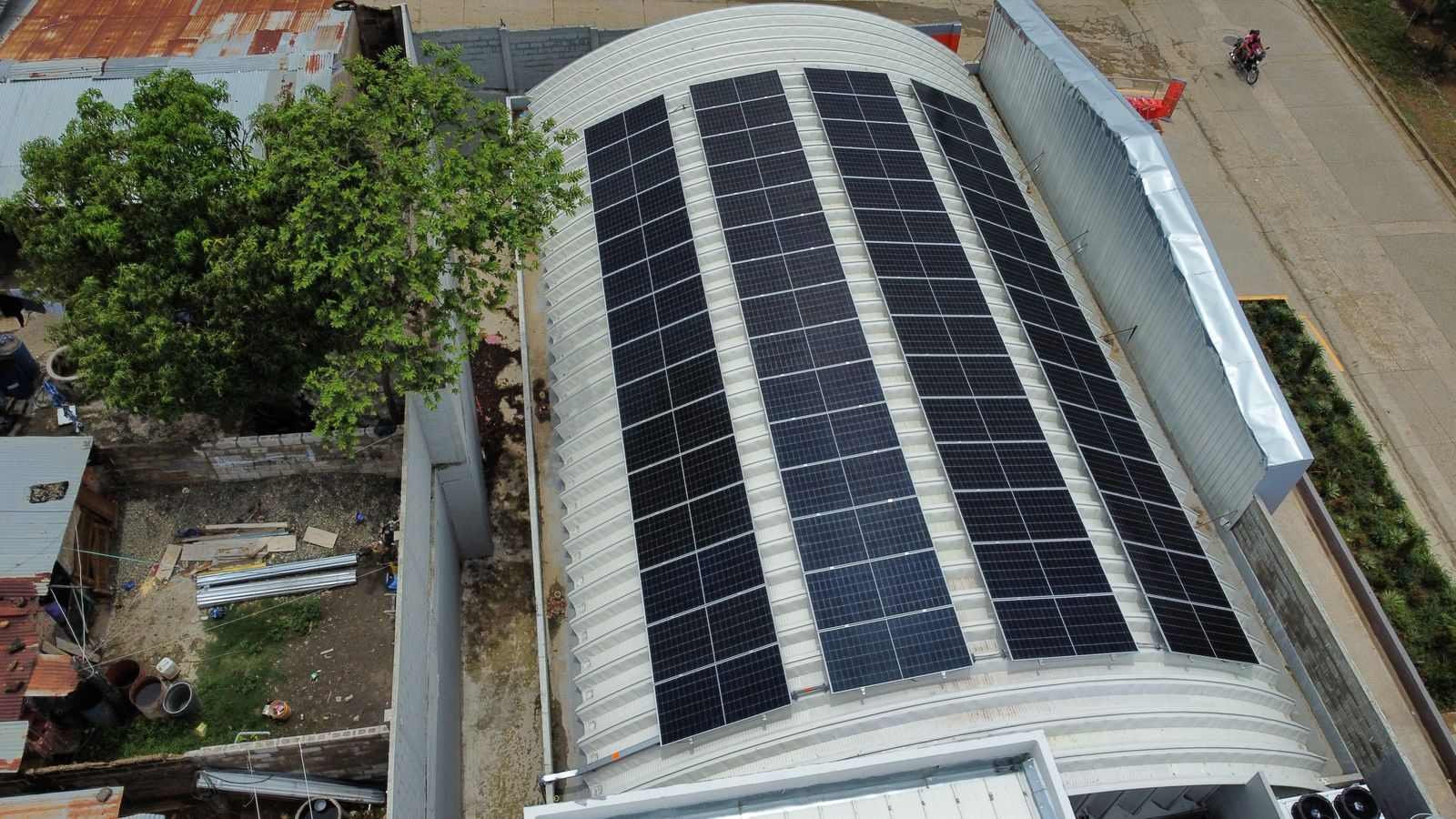 Imagen de Ara cienega de oro